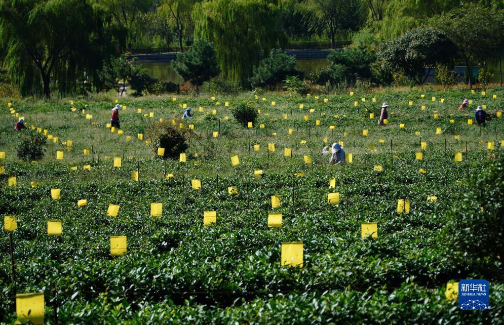 葡京茶餐厅